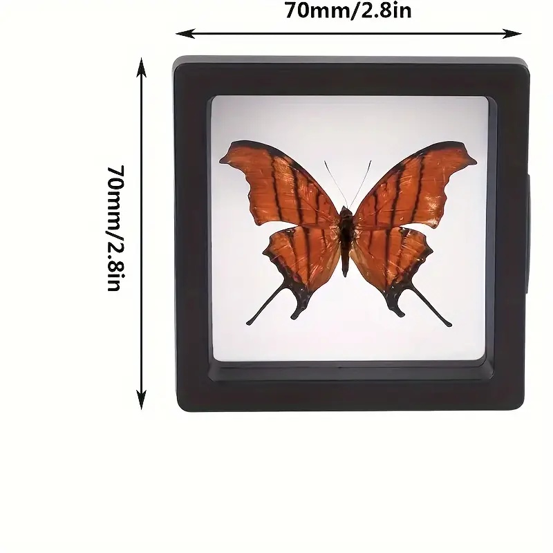 20Pcs Clearview 3D 플로팅 디스플레이 케 - Display Case Acrylic 리뷰 및 가격